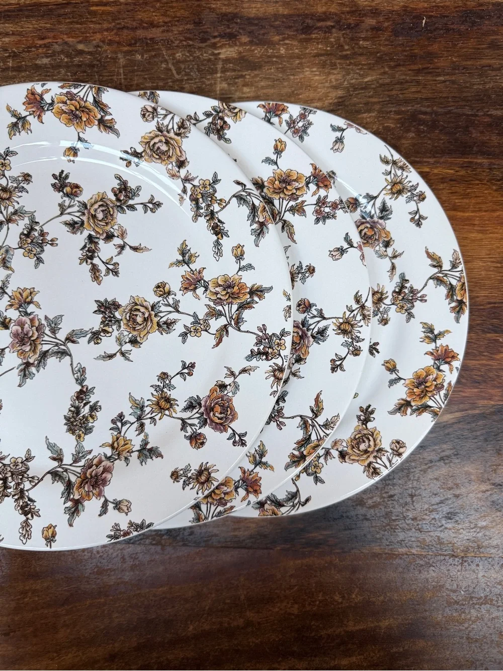 Sur La Table Cream Dinner Plates with Brown Floral Motif - Set of 3
